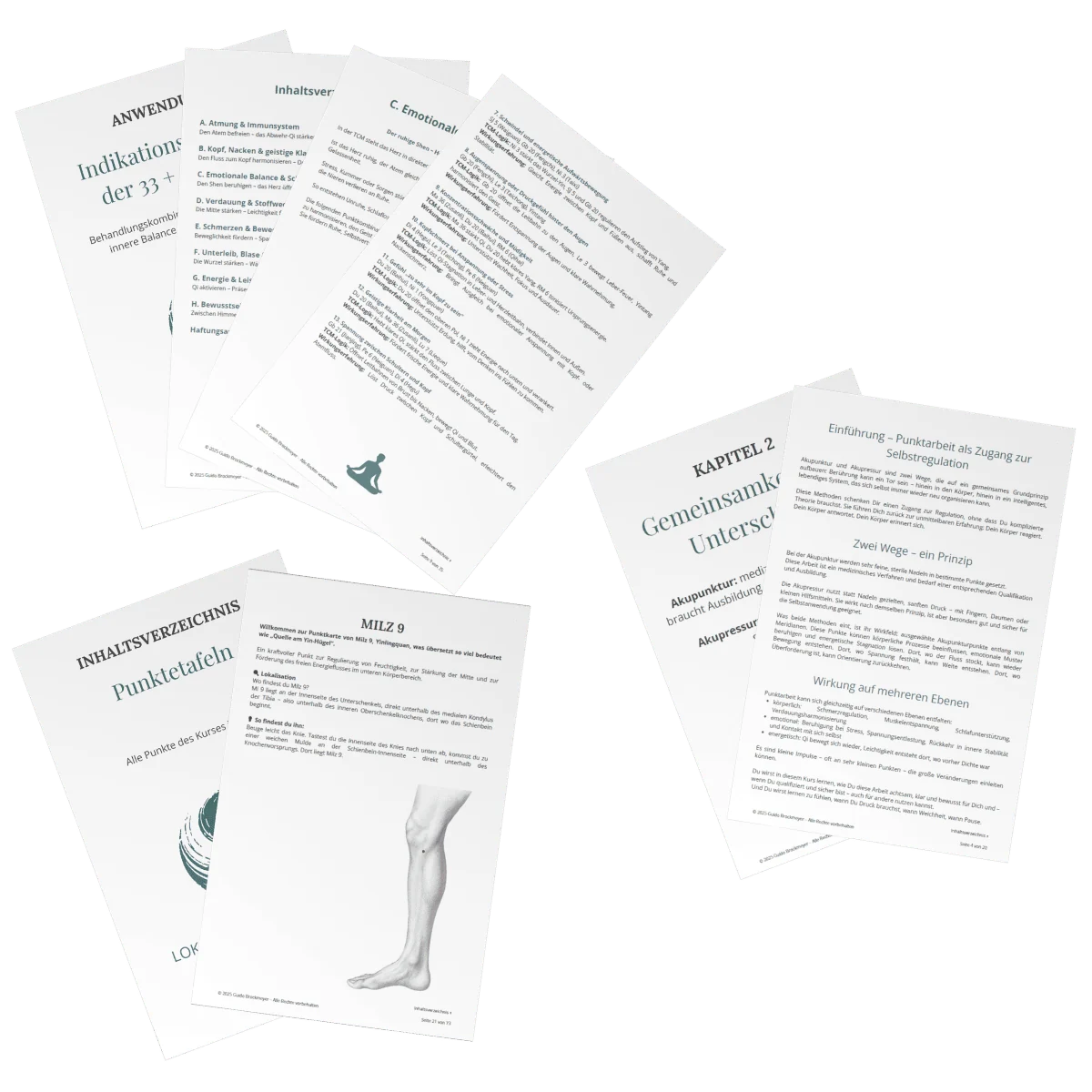 Einblick in die PDF-Unterlagen mit Punktbeschreibungen und Anwendungshinweisen des Punktgenau Kurses